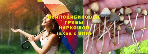тгк Богданович