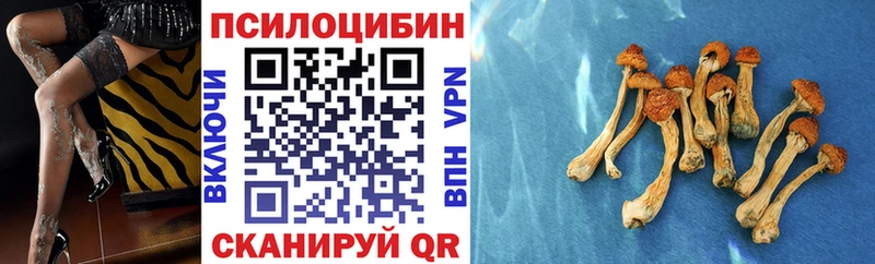 ОМГ ОМГ как войти  Старый Оскол  Галлюциногенные грибы Magic Shrooms 